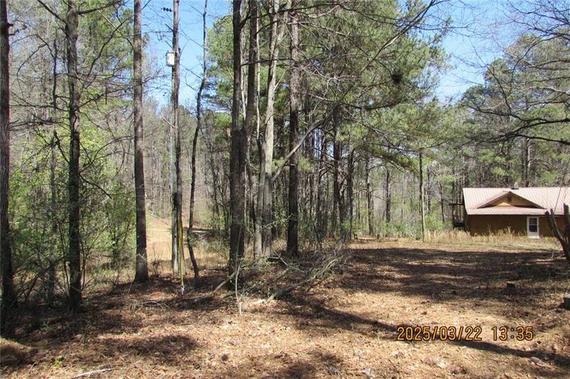 Image for property 8740 Atlanta Newnan Road, Chattahoochee Hills, GA 30268