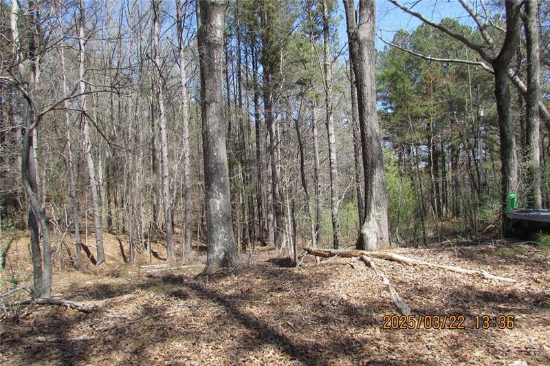 Image for property 8740 Atlanta Newnan Road, Chattahoochee Hills, GA 30268