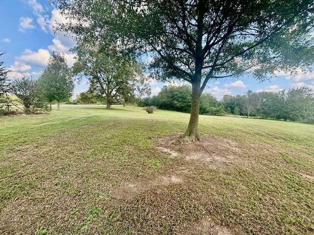 Image for property 2407 Brown Road, Martin, GA 30557
