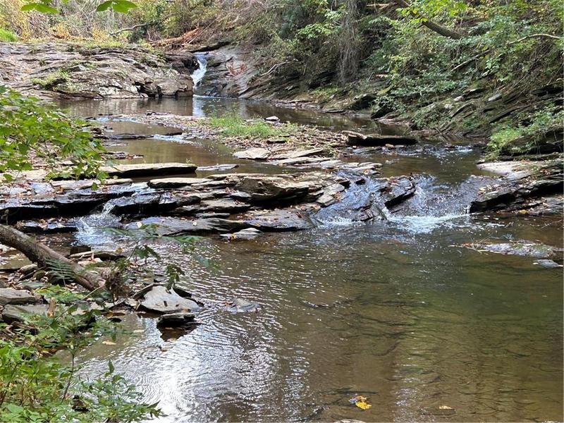 Image for property 204 LAW GROUND CREEK Road, Talking Rock, GA 30175