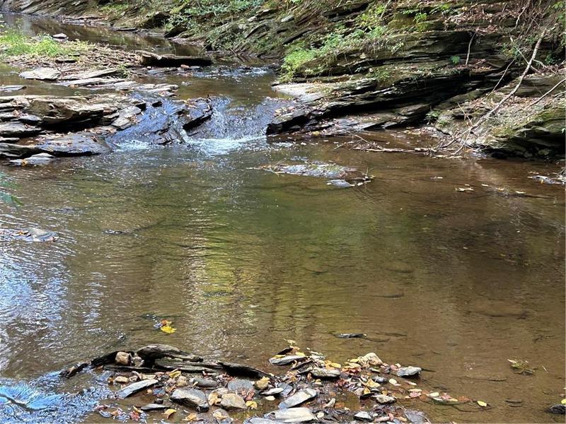 Image for property 204 LAW GROUND CREEK Road, Talking Rock, GA 30175