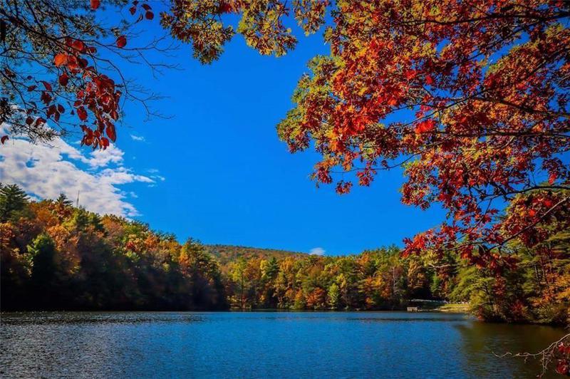 Image for property 208 Lake Forest Dr Lt. 51, Ellijay, GA 30540