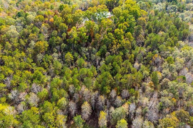 Image for property 2125 McCollum Church Road, Lineville, AL 36266