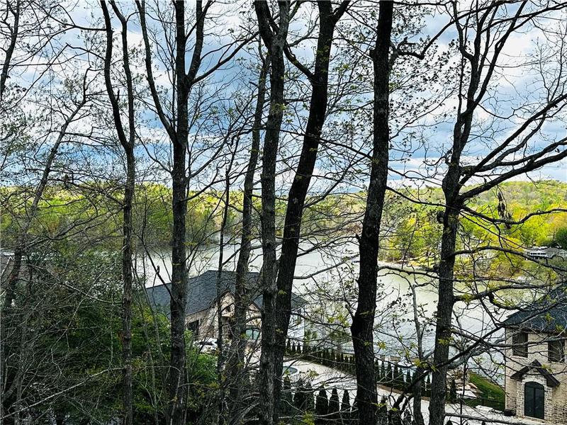 Image for property 116 RIVER SOUND Alley, Dawsonville, GA 30534