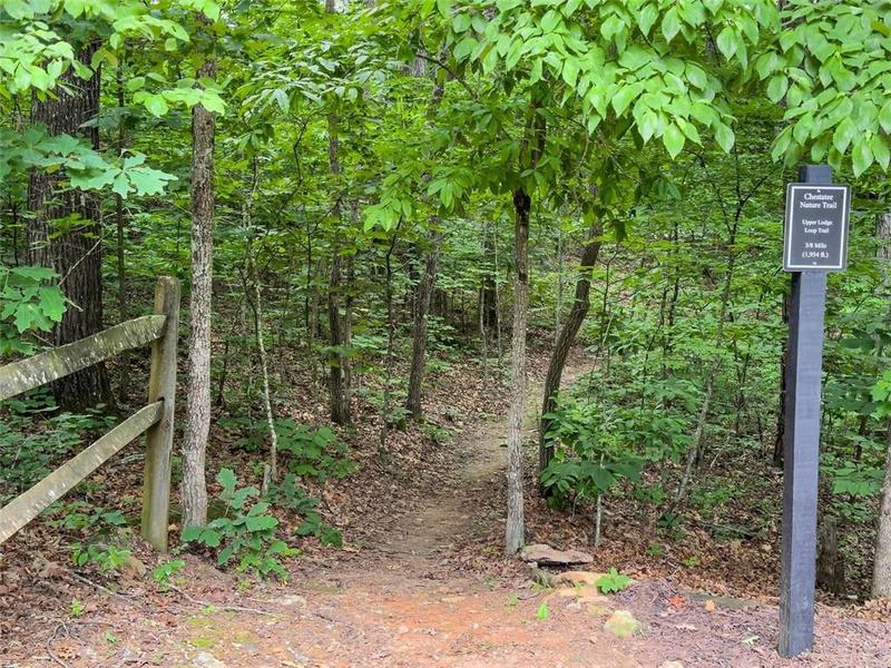 Image for property 116 RIVER SOUND Alley, Dawsonville, GA 30534