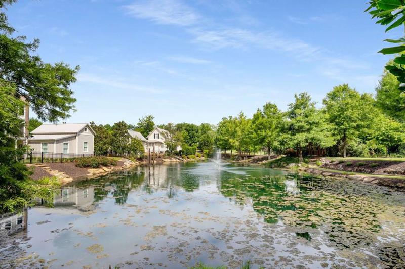 Image for property 77 Lower Creek Trail, Senoia, GA 30276
