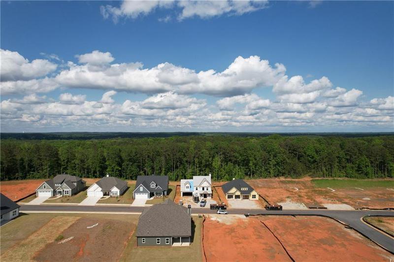 Image for property 1350 Legend Drive, Greensboro, GA 30642
