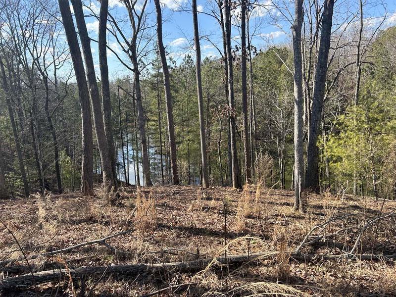 Image for property 154 Lake Forest Lot 52 Drive, Ellijay, GA 30540