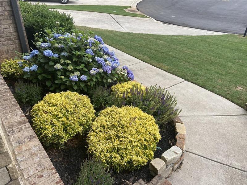 Image for property 9240 Hollywood Drive, Gainesville, GA 30506