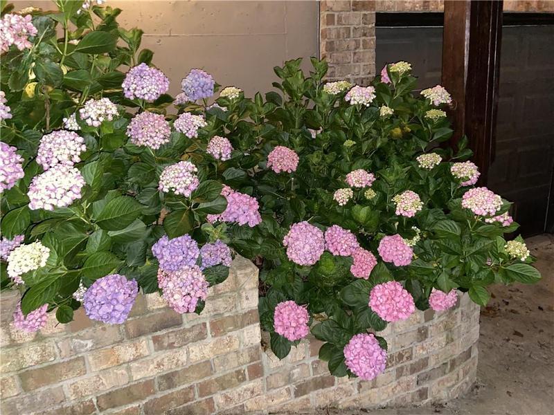 Image for property 9240 Hollywood Drive, Gainesville, GA 30506