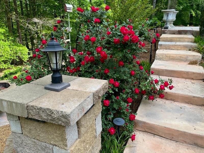 Image for property 9240 Hollywood Drive, Gainesville, GA 30506