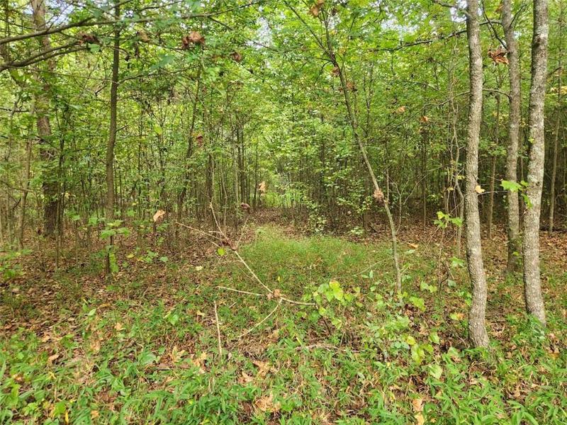 Image for property 632 White Hill School Road, Commerce, GA 30529