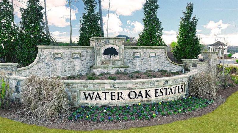 Image for property 1898 Lacebark Elm Way, Lawrenceville, GA 30045