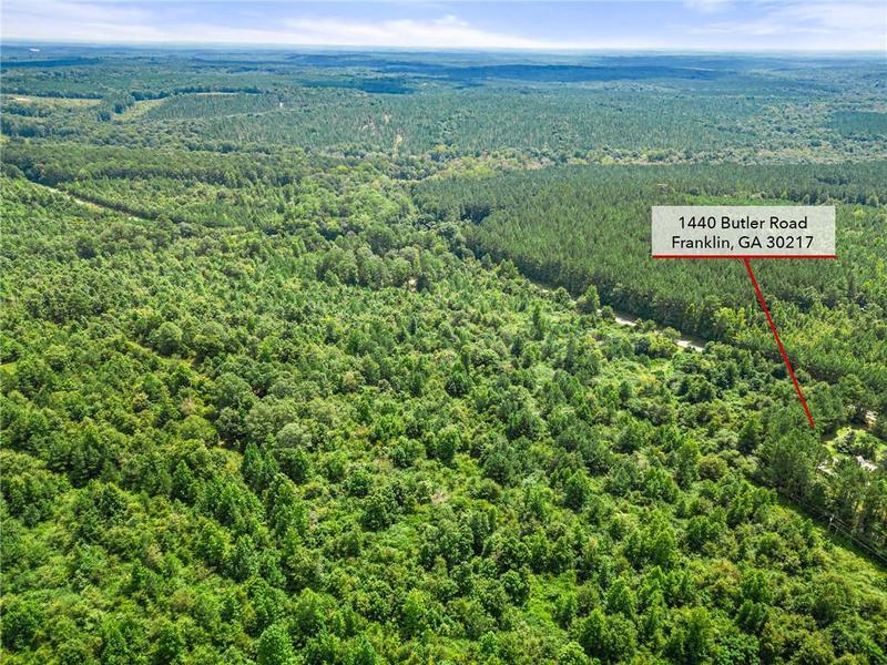Image for property 1440 Butler Road, Franklin, GA 30217