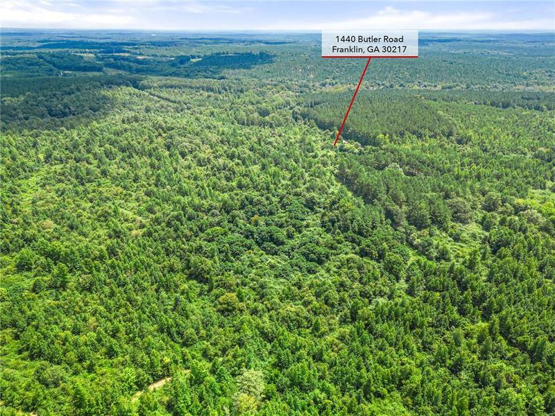 Image for property 1440 Butler Road, Franklin, GA 30217