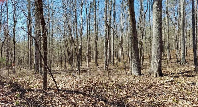 Image for property 1440 Butler Road, Franklin, GA 30217
