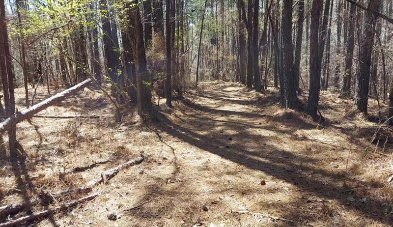 Image for property 1440 Butler Road, Franklin, GA 30217