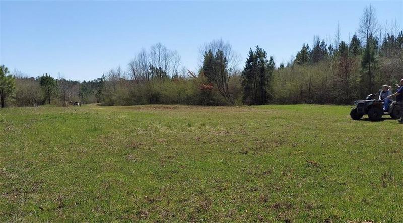 Image for property 1440 Butler Road, Franklin, GA 30217