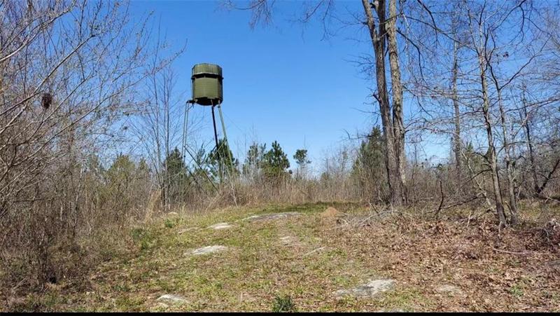 Image for property 1440 Butler Road, Franklin, GA 30217