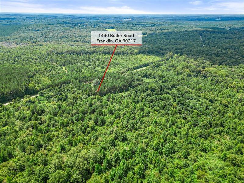 Image for property 1440 Butler Road, Franklin, GA 30217