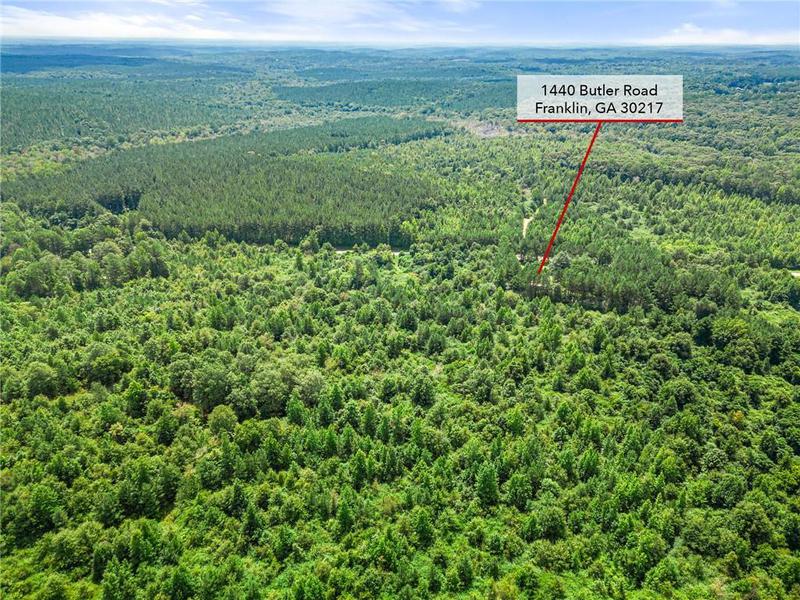 Image for property 1440 Butler Road, Franklin, GA 30217