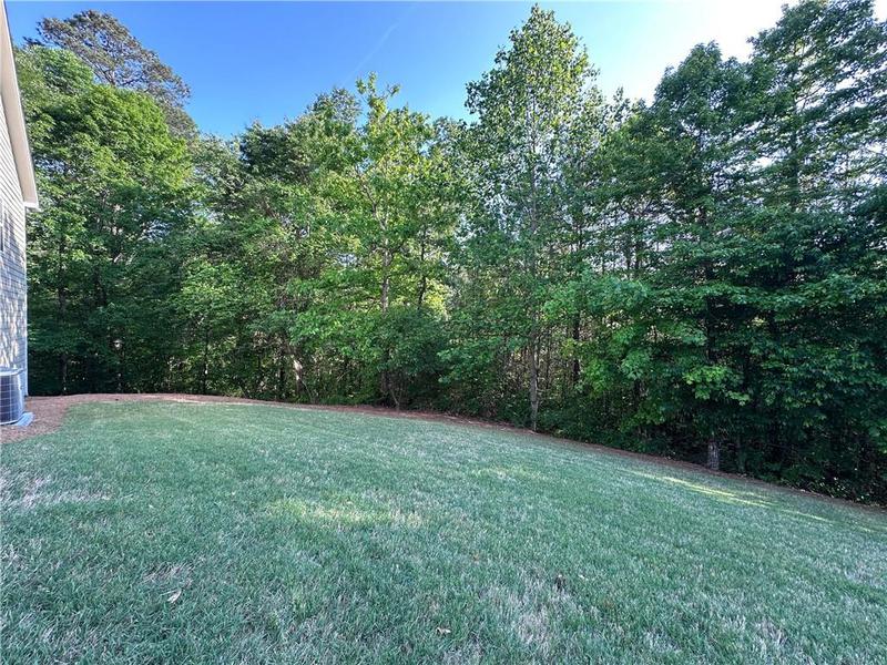 Image for property 261 Potomac Drive, Dallas, GA 30132