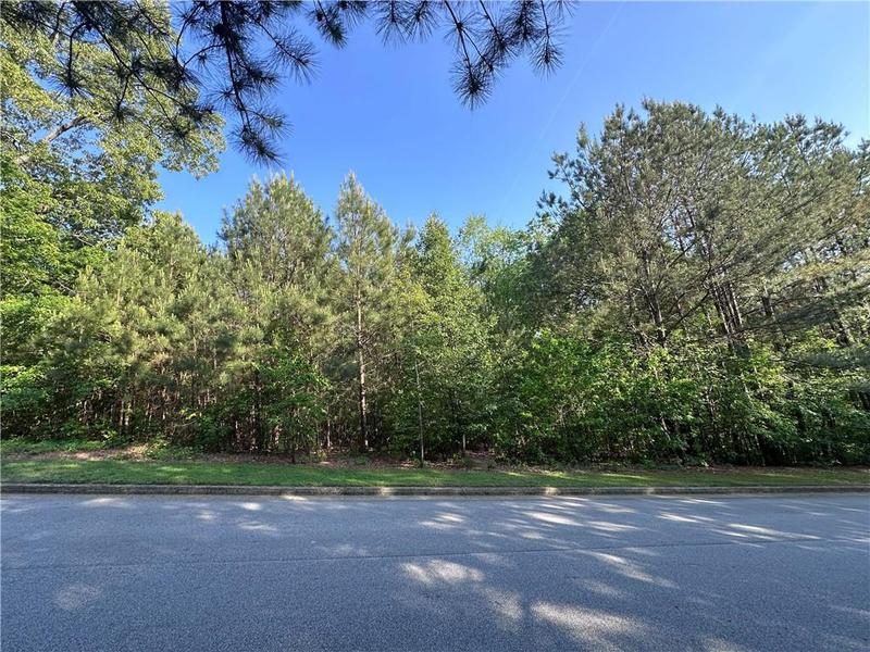 Image for property 261 Potomac Drive, Dallas, GA 30132