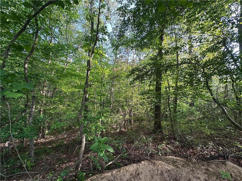 Image for property 261 Potomac Drive, Dallas, GA 30132