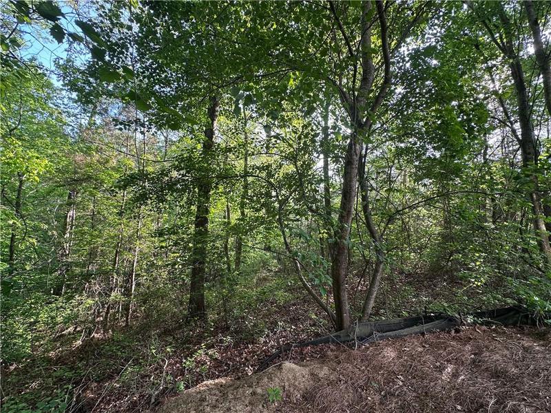 Image for property 261 Potomac Drive, Dallas, GA 30132