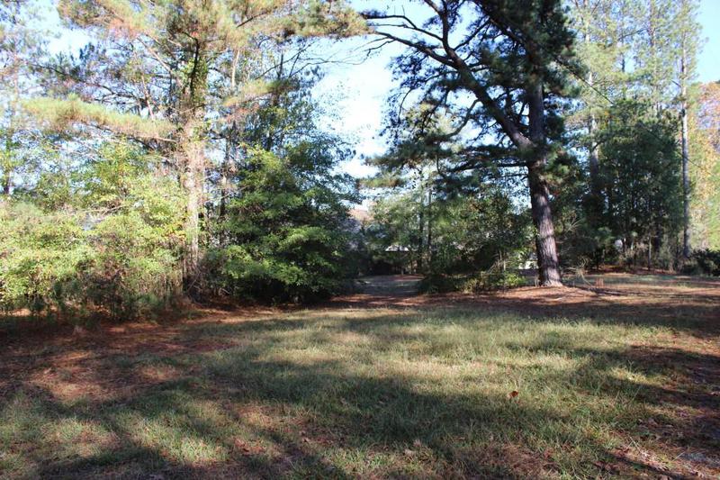 Image for property 1372 Auburn Road, Dacula, GA 30019