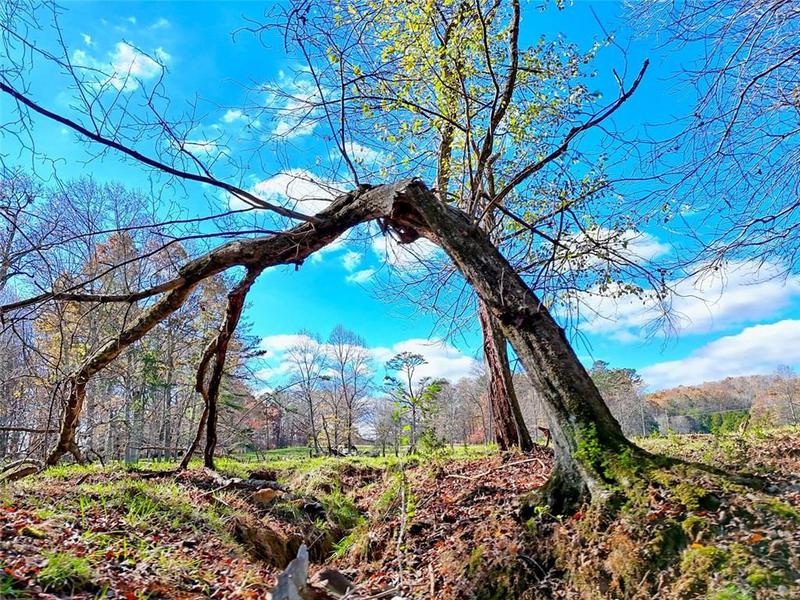 Image for property 144 Old Battle Road, Blairsville, GA 30512