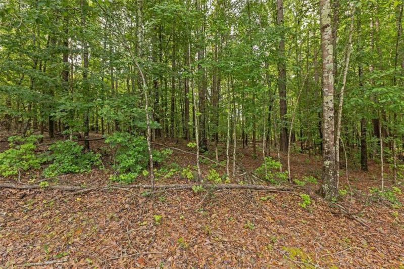 Image for property 6425 Mixon Road, Chattahoochee Hills, GA 30268
