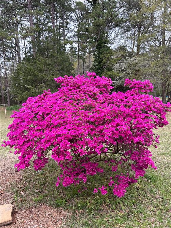 Image for property 383 Valley Grove Road, Cedartown, GA 30125