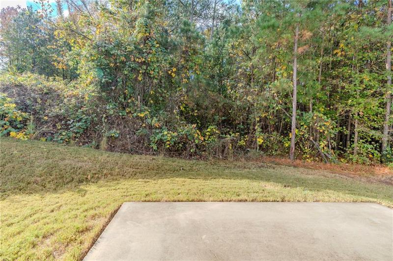 Image for property 29 Donegal Court, Dallas, GA 30132