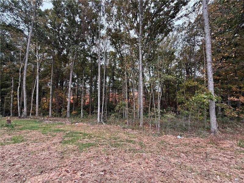Image for property 3229 TRADITIONS Way, Jefferson, GA 30549
