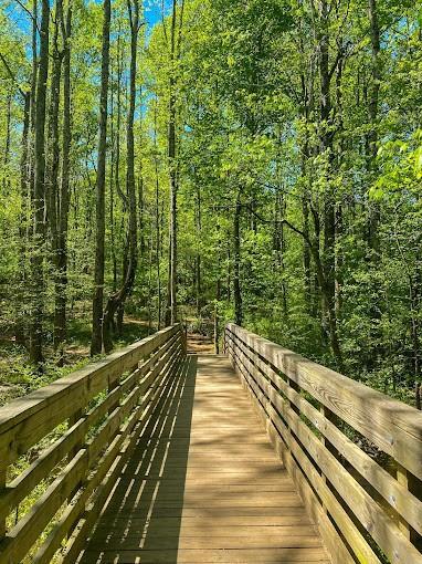 Image for property 3730 Reserve Overlook (LOT 8) Way, Cumming, GA 30041