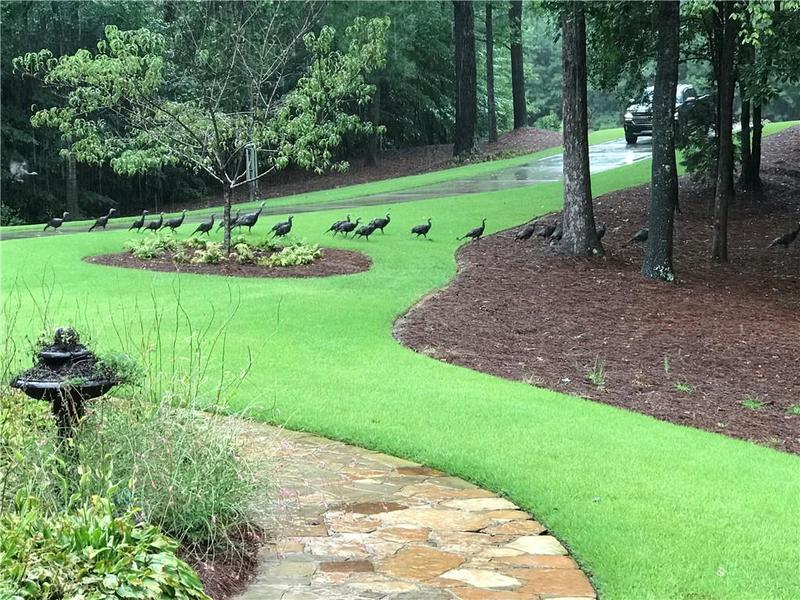 Image for property 27 Retreat Ridge, Cartersville, GA 30120
