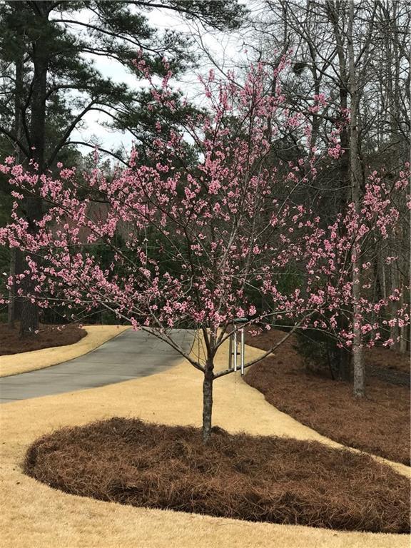 Image for property 27 Retreat Ridge, Cartersville, GA 30120