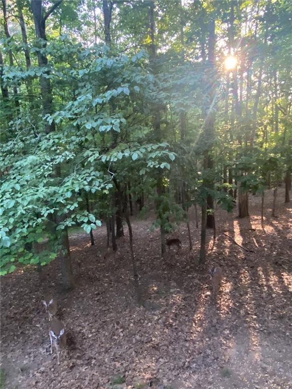 Image for property 525 Sycamore Point, Woodstock, GA 30189