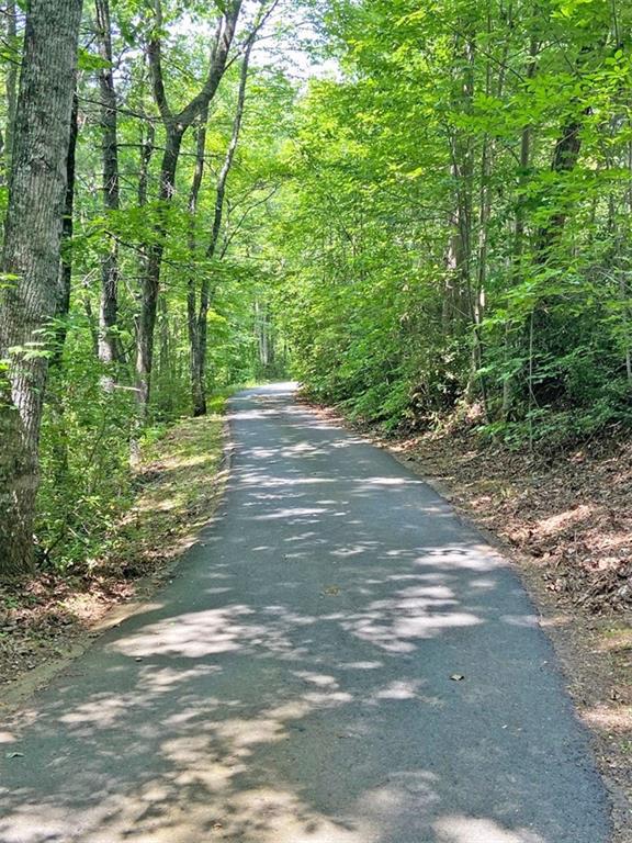 Image for property 802 Pine Knot Drive, Cleveland, GA 30528