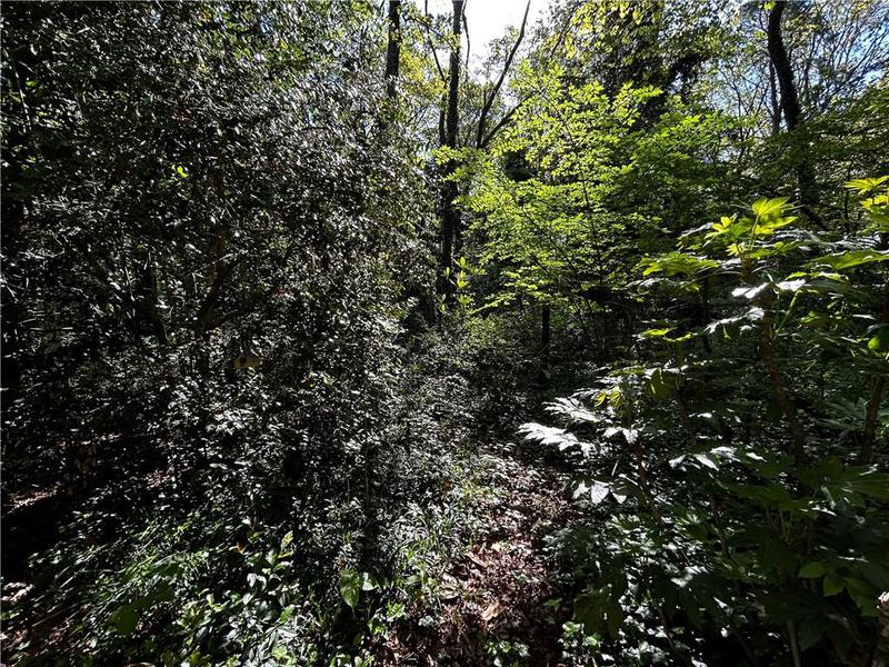 Image for property 1164 Oldfield Road, Decatur, GA 30030