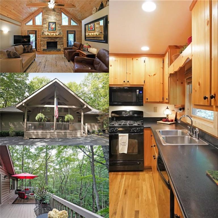 Image for property 458 Teaberry Lane, Jasper, GA 30143