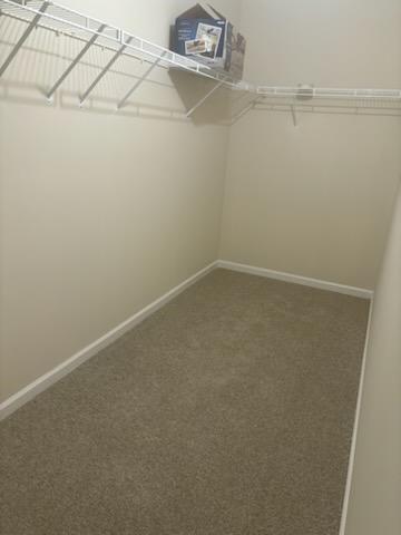 Image for property 1005 Magnolia Gardens Walk, Mcdonough, GA 30253