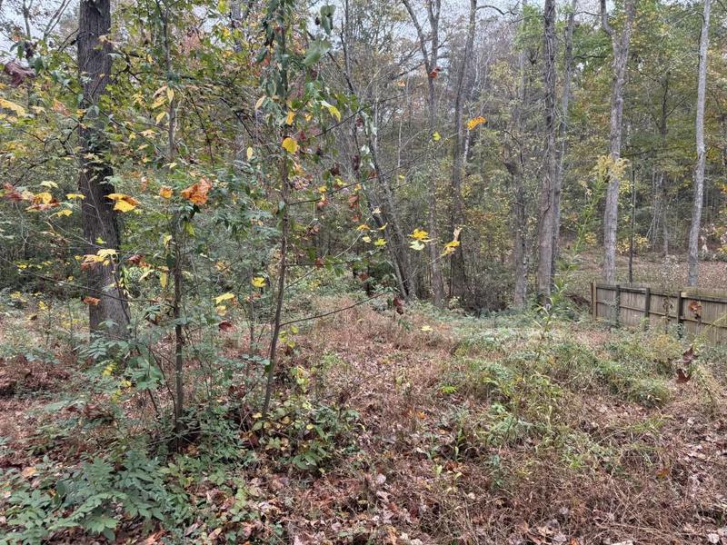 Image for property 2520 Conley Drive, Cumming, GA 30040
