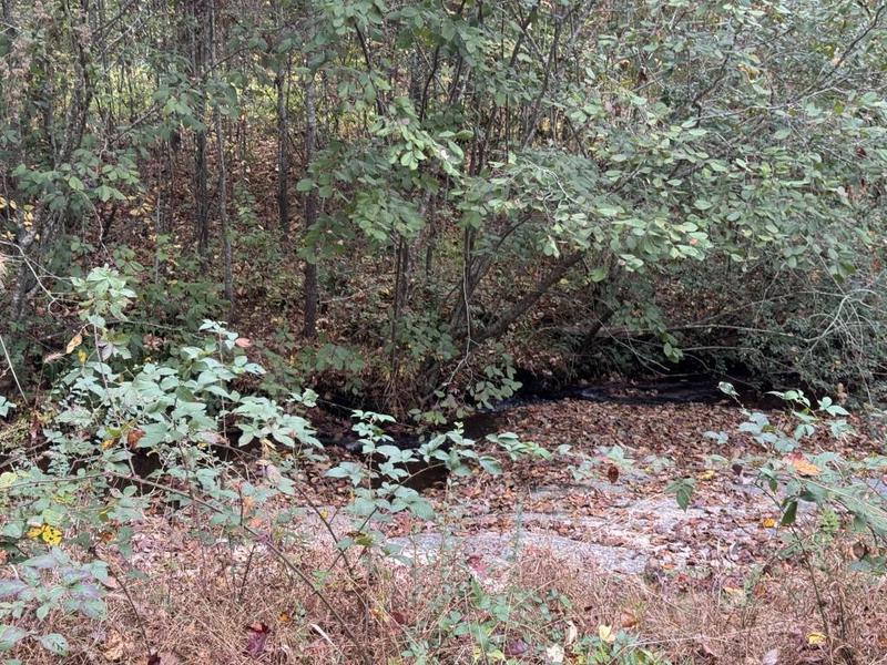 Image for property 2520 Conley Drive, Cumming, GA 30040
