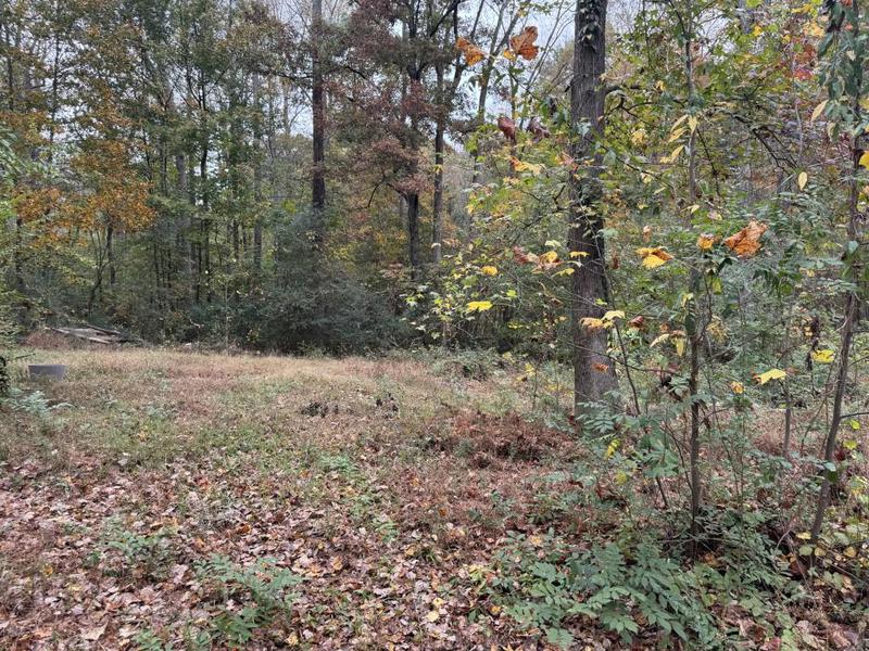 Image for property 2520 Conley Drive, Cumming, GA 30040