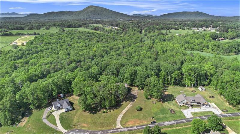 Image for property 5642 Little Branch Circle, Clermont, GA 30527