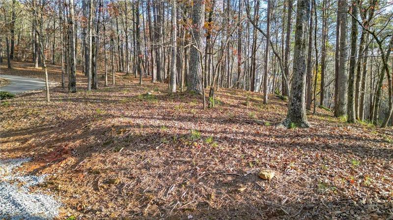 Image for property 7895 Lords Way, Ball Ground, GA 30107